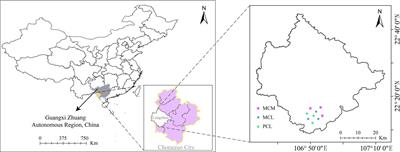 Mixed planting of subtropical Chinese fir in South China improves microbial carbon source metabolism and functional diversity through the accumulation of nutrients from soil aggregates
